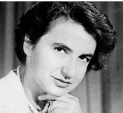 Rosalind Franklin